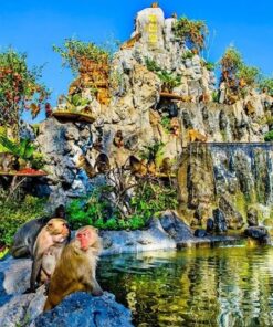 Vương quốc đảo khỉ Hòn Lao