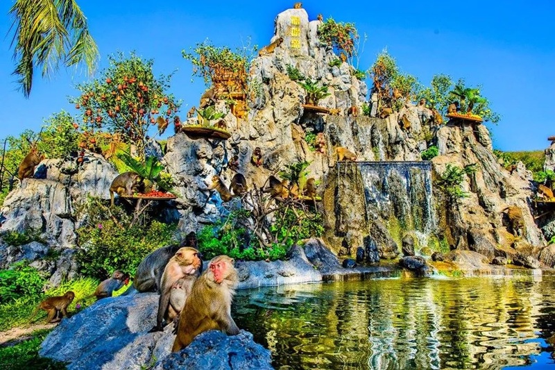 Vương quốc đảo khỉ Hòn Lao