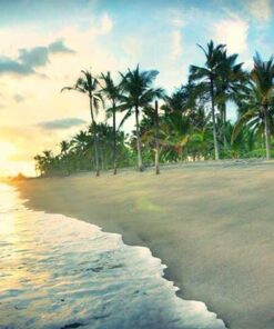 Đảo Dừa có diện tích 12ha