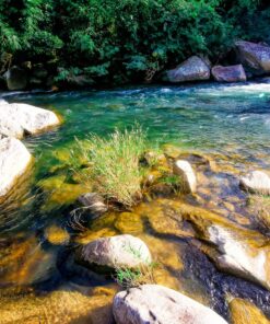 Suối Tiên Nha Trang – Thiên đường chốn trần gian