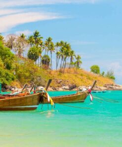 Thuê tàu cano tham quan đảo Điệp Sơn