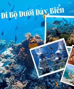 Tour Nha Trang 1 ngày Đi bộ dưới biển