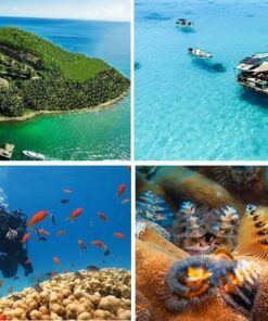 Hòn Mun Nha Trang - Thiên đường dưới đáy biển