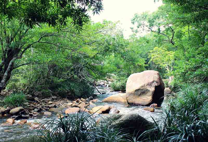 Tham quan lều trại sinh thái