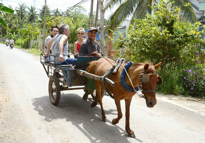 Không gian làng quê yên bình và gần gũi thiên nhiên